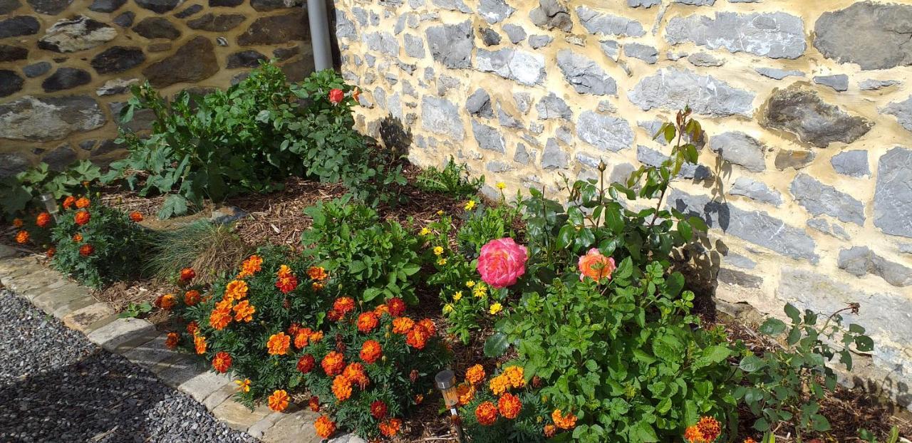 Le Rucher Lez-Fontaine Ngoại thất bức ảnh